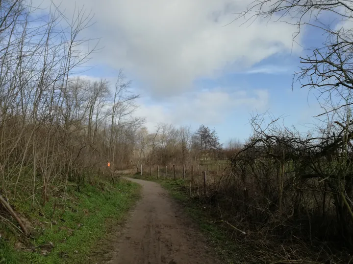 De Panne (België)